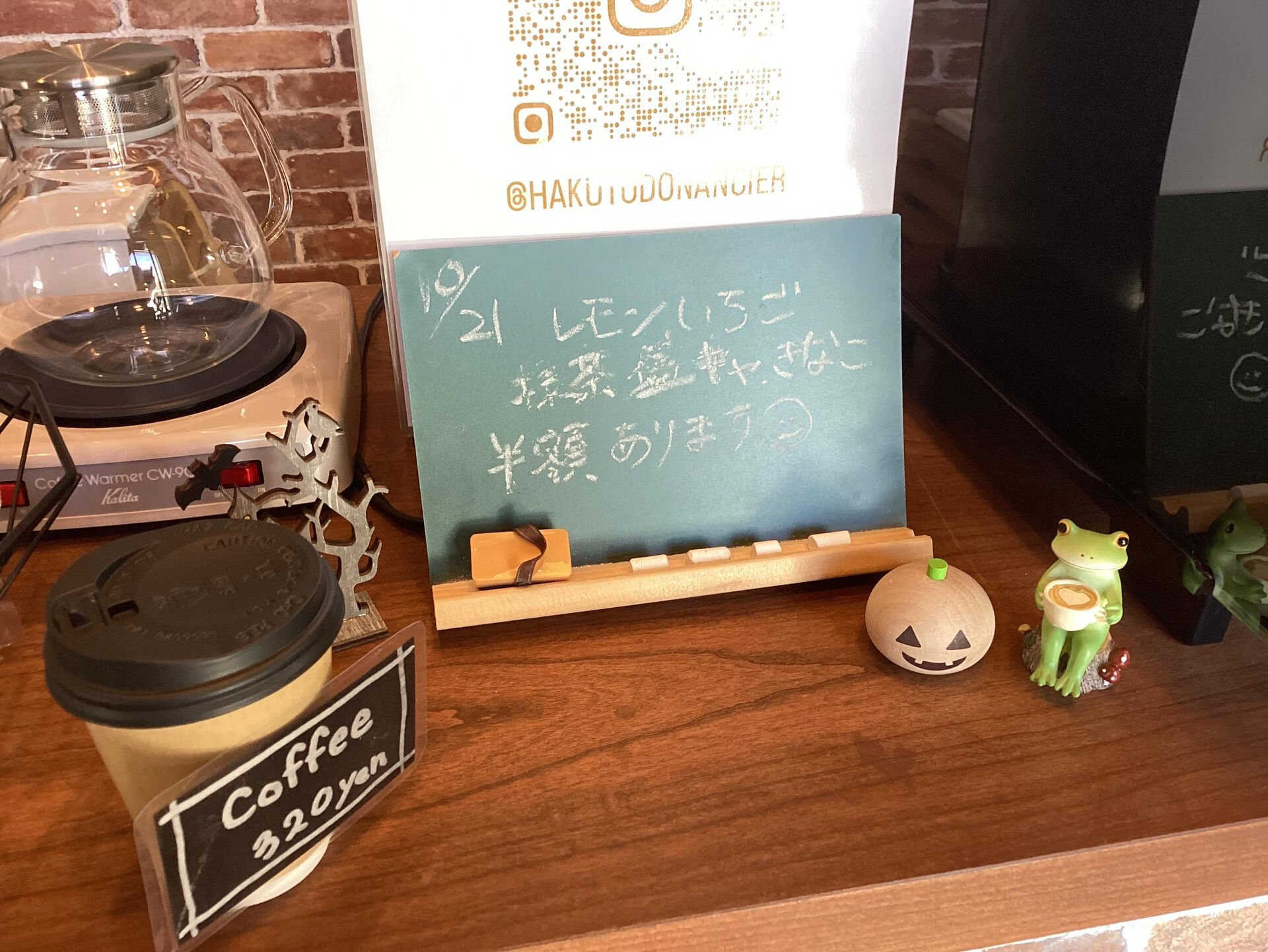 おはようございます♪HAKUTOです🐰